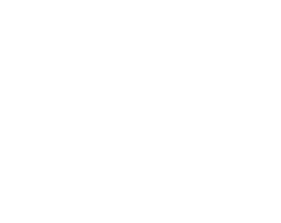 ICE ICE